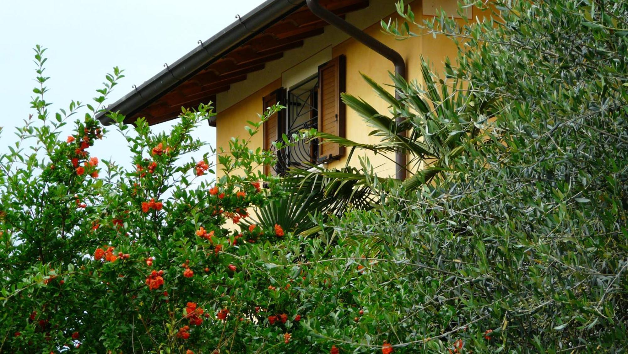 Albergo Le Piante Manerba del Garda Ngoại thất bức ảnh
